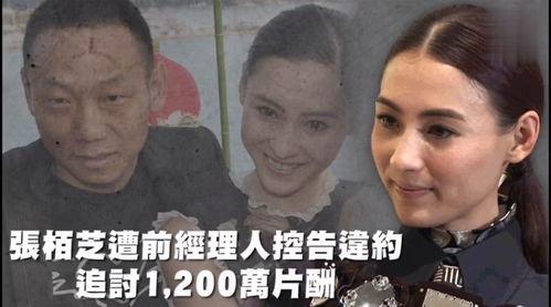 娱乐吃瓜苦,揭秘娱乐圈背后的酸甜苦辣  第3张